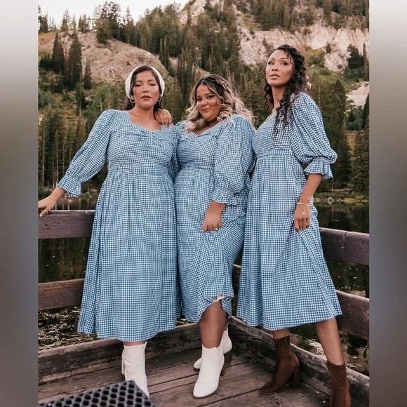 Leah Ryder x JessaKae Blue Gingham Dress Size 3X